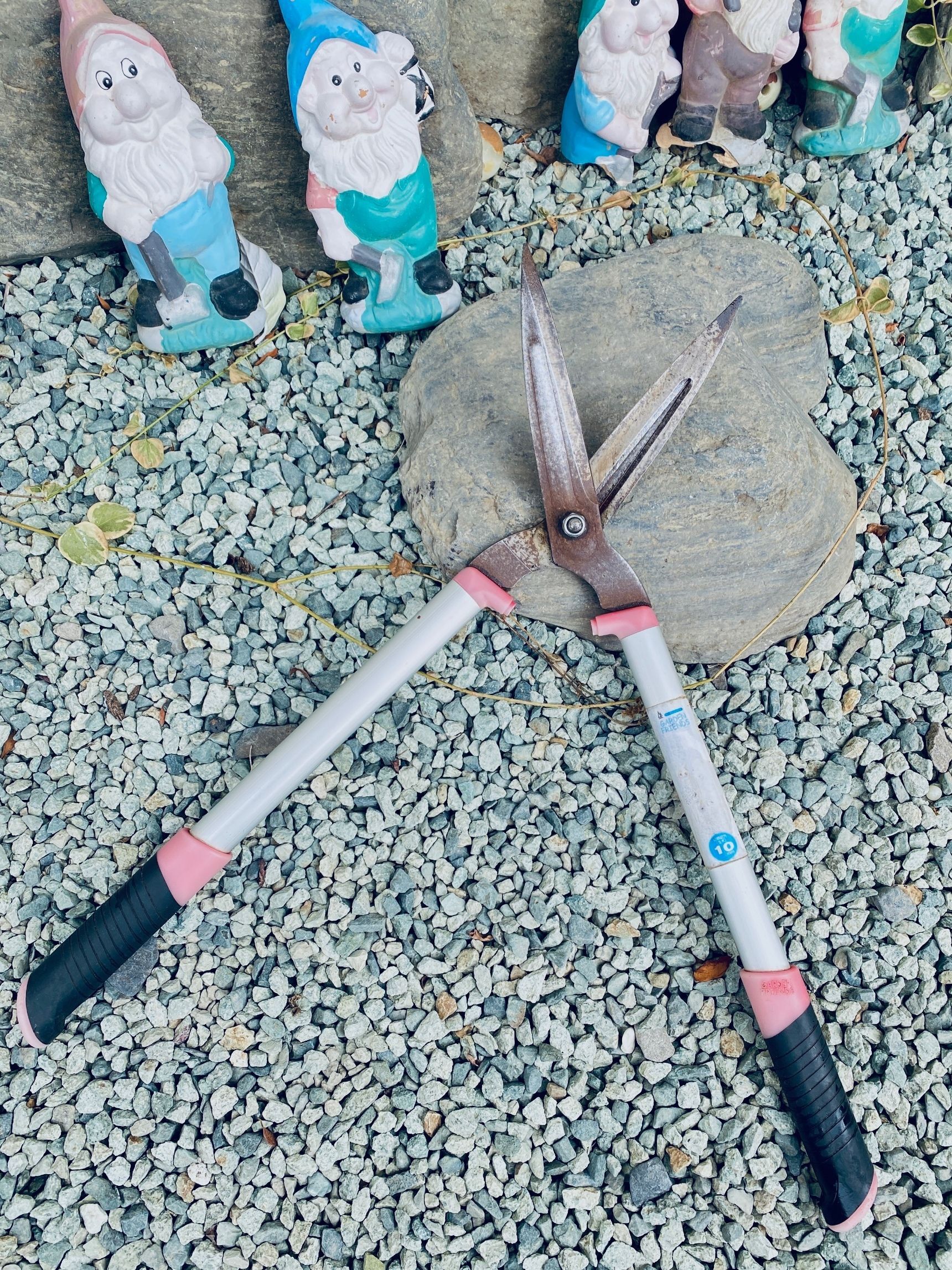 剪定バサミの錆はこうやって落とす！