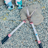 剪定バサミの錆はこうやって落とす！