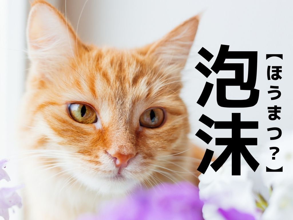【泡沫】なんて読む？「ほうまつ」以外の読み方知ってる？【漢字クイズ】