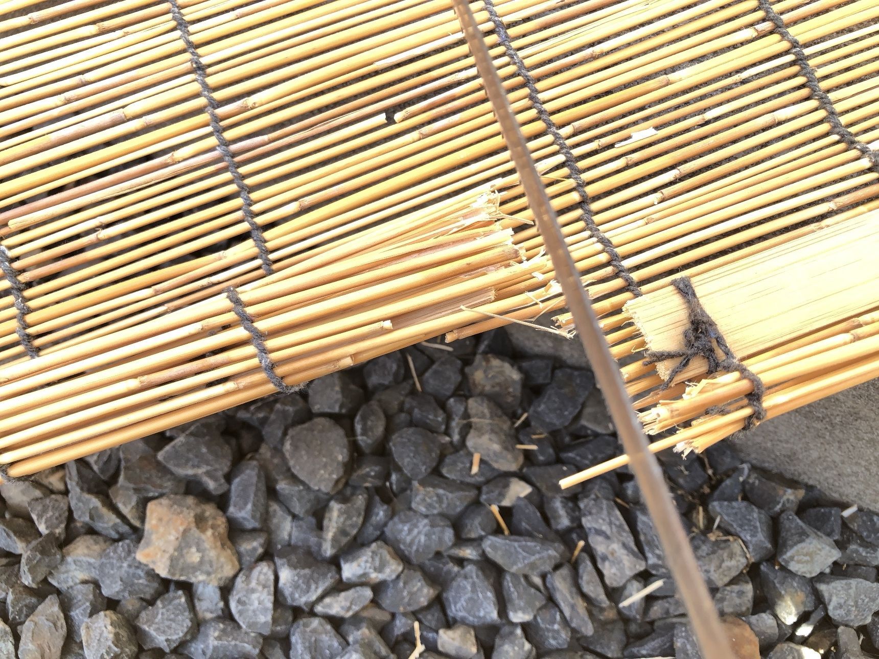 ひごは中が空洞なのでくるくる巻きながら切ると良さそうです