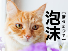 【泡沫】なんて読む？「ほうまつ」以外の読み方知ってる？【読めそうで読めない漢字クイズ】