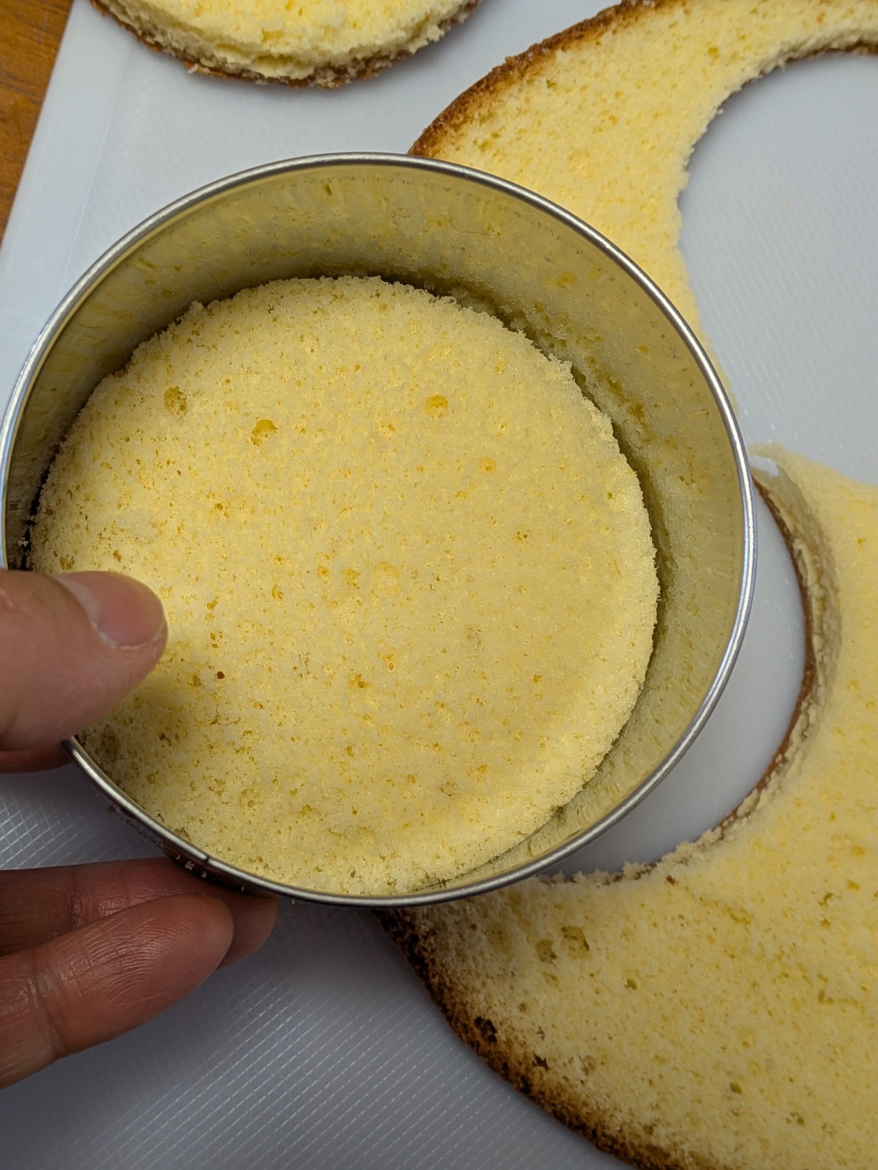 7、セルクルでスポンジケーキを丸形に抜く。
