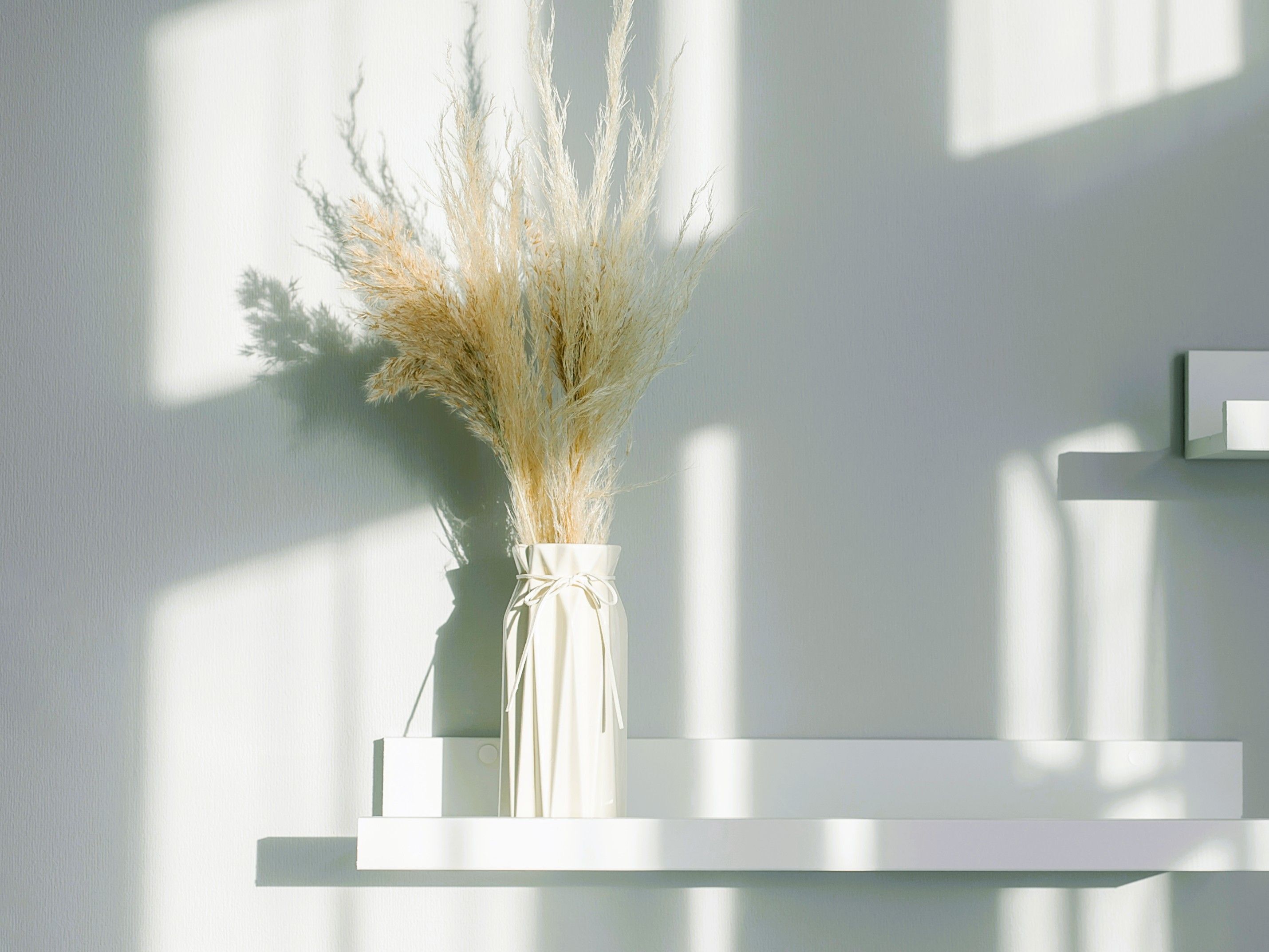 2月20日（金）今日は「とづ」の日。物事がうまく進まない日ですが、やると神様に守ってもらえるコトがありますよ！