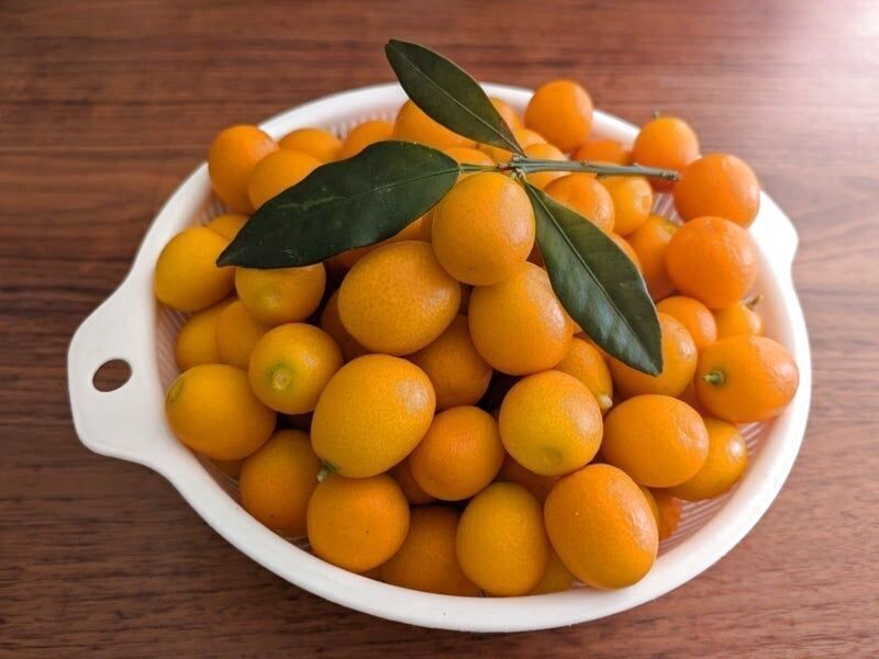 マダムに誘われる…