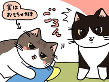 先輩ねこと後輩ねこの攻防戦。【てらねこミー子の日常】