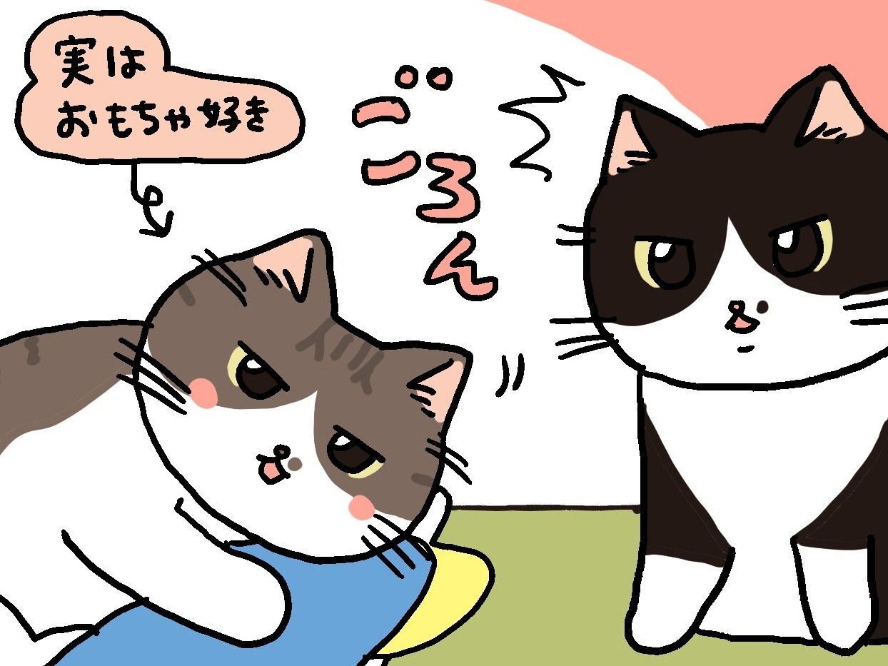 先輩ねこと後輩ねこの攻防戦。【てらねこミー子の日常】