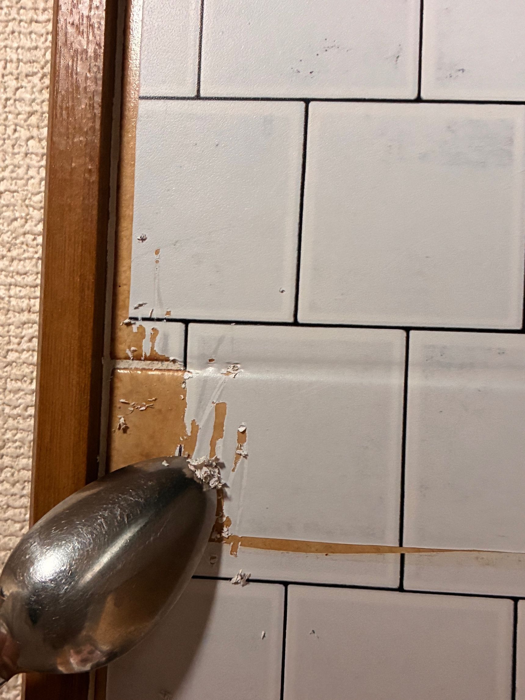 どこから探そうかな