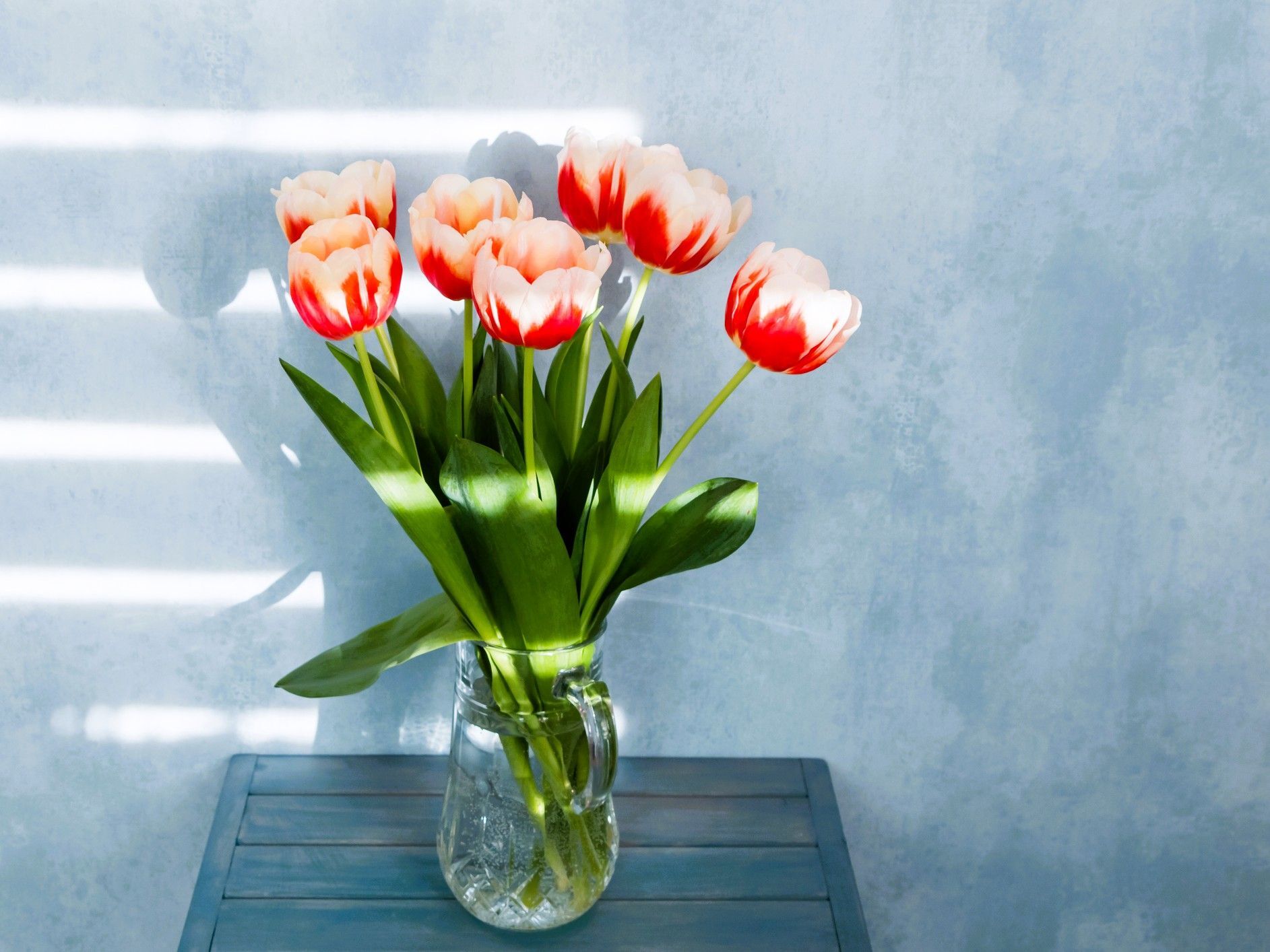 2月27日（金）今日はとても強いパワーに恵まれる日！絶対やるといいコトがありますよ♪