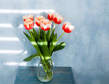 2月27日（金）今日はとても強いパワーに恵まれる日！絶対やるといいコトがありますよ♪