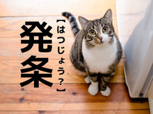 【発条】なんて読む？「はつじょう」ではなく、ある"部品"の名前です【読めそうで読めない漢字クイズ】