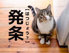 【発条】なんて読む？「はつじょう」ではなく、ある"部品"の名前です【読めそうで読めない漢字クイズ】