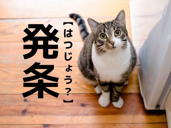 【発条】なんて読む?「はつじょう」ではなく、ある"部品"の名前です【読めそうで読めない漢字クイズ】