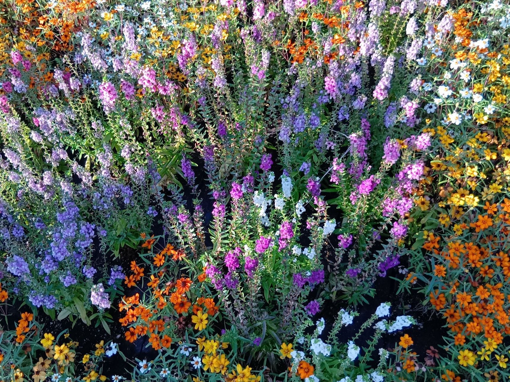 ラリマーは、「愛と平和のエネルギーを宿す石」！（人が勝手に意味合いをつけたとも言えますが）