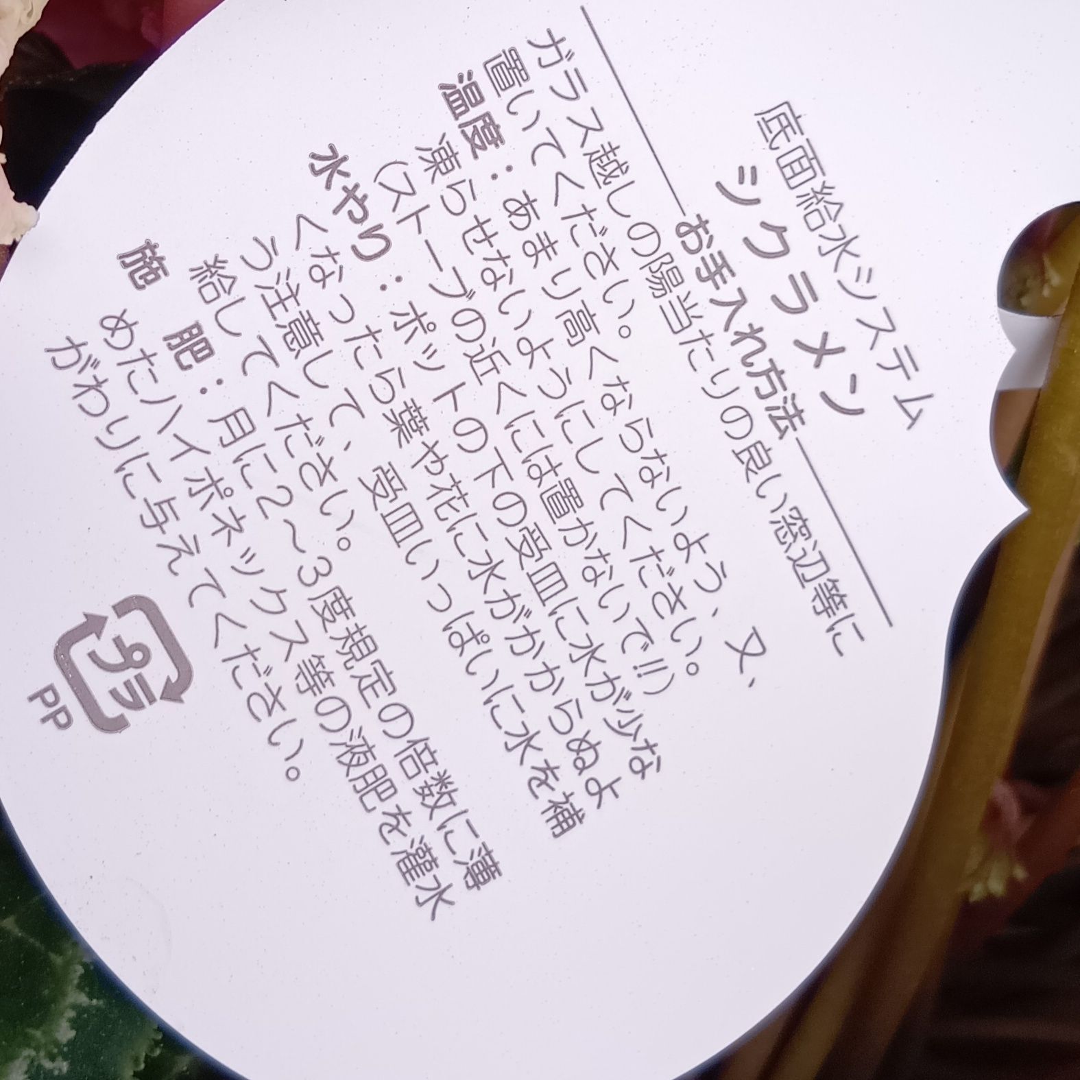 水の与え方を間違えると悲しみますよ～！