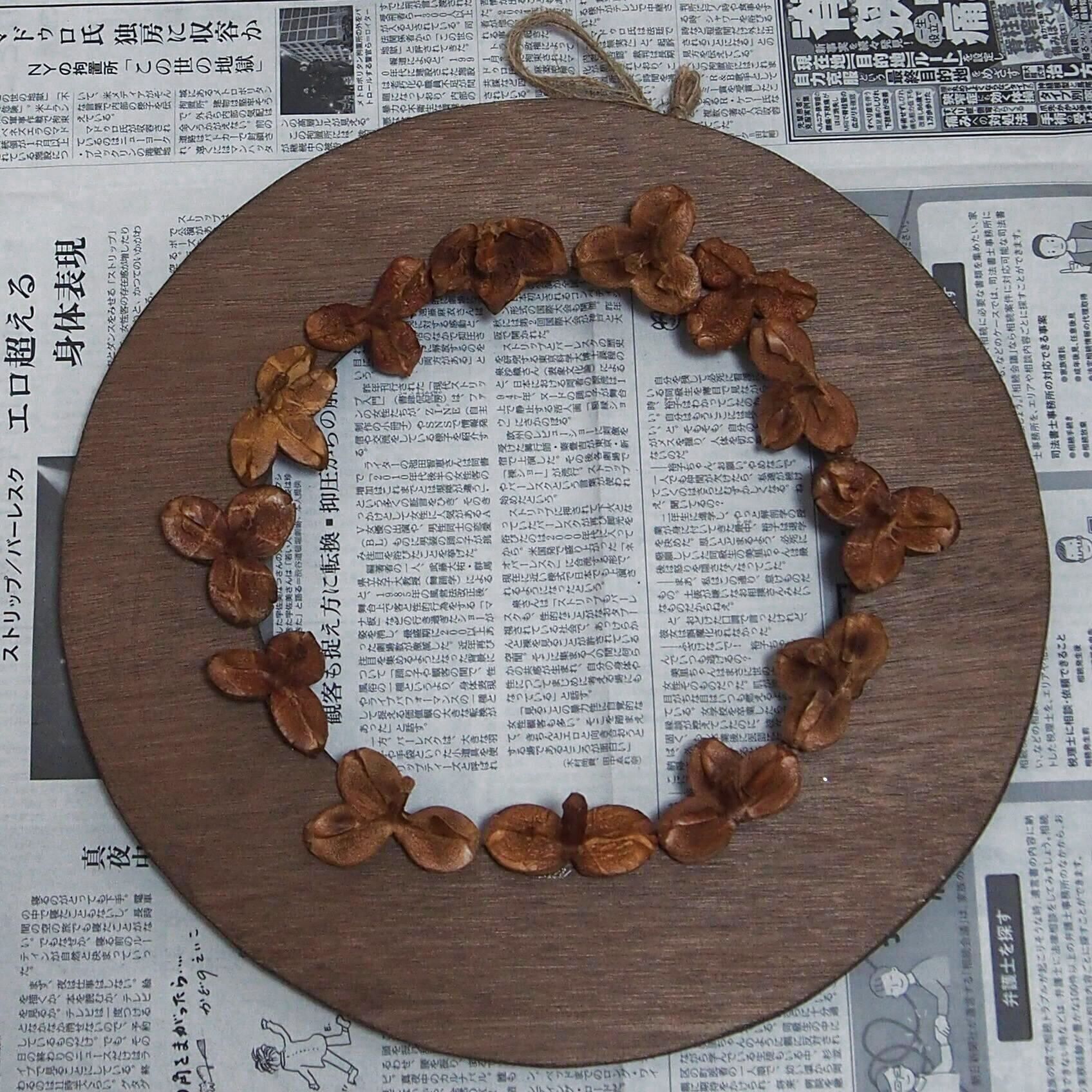 円形にカットしたベニヤ板に椿の実を乗せていきます