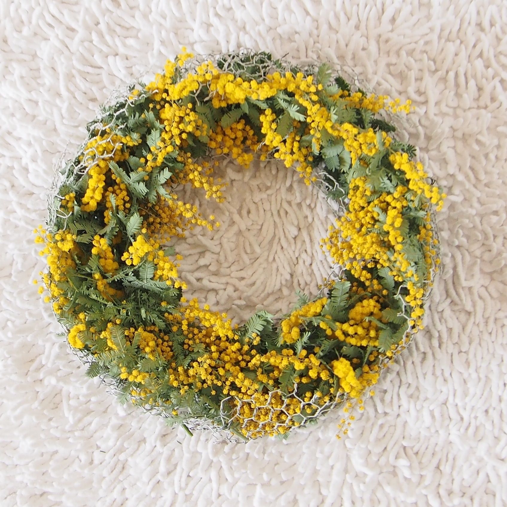 ミモザを入れていきます