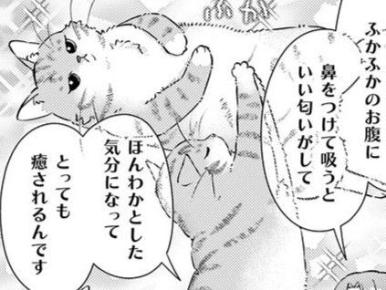 「猫吸い」をご存じない…！？これほど"極上な子"はそうそういないのに…！【七十二候ノ国の後宮薬膳医#19】