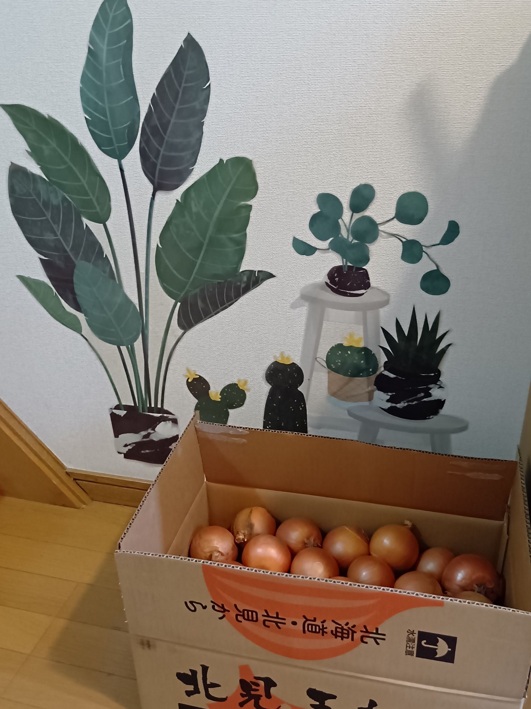 玄関にグリーンと2次元の遊び心をプラス！ウォールステッカーとは？