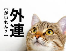 【外連】なんて読む？歌舞伎好きなら一発でわかるはず！実は"通"な言葉です。【読めそうで読めない漢字クイズ】