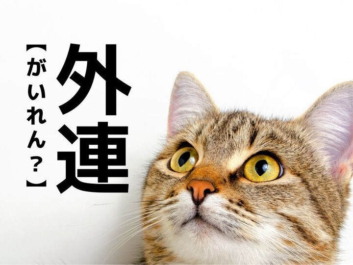 【外連】なんて読む?歌舞伎好きなら一発でわかるはず!実は"通"な言葉です。【読めそうで読めない漢字クイズ】
