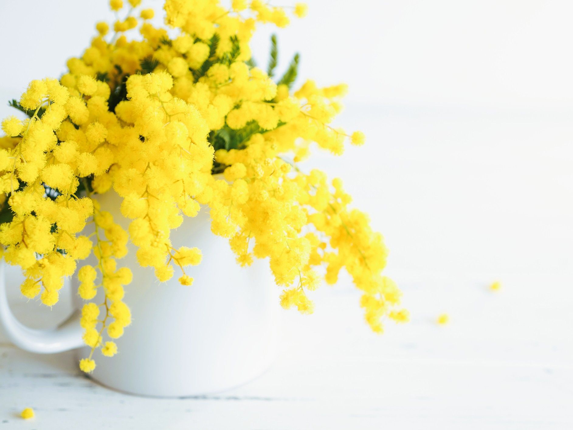 【3月の幸運日カレンダー】最強の幸運日はこの日！予定を入れちゃダメな要注意日もチェックして