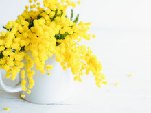 【3月の幸運日カレンダー】最強の幸運日はこの日！予定を入れちゃダメな要注意日もチェックして