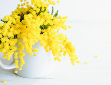 【3月の幸運日カレンダー】最強の幸運日はこの日！予定を入れちゃダメな要注意日もチェックして