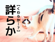 【詳らか】なんて読む？「くわしい」とほぼ意味は同じだけど…？【読めたらスゴイ！漢字クイズ】