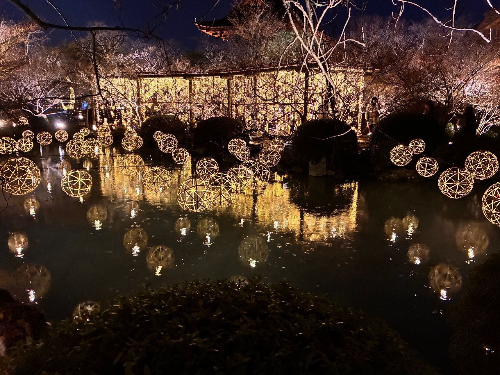 光の回廊が目の前！