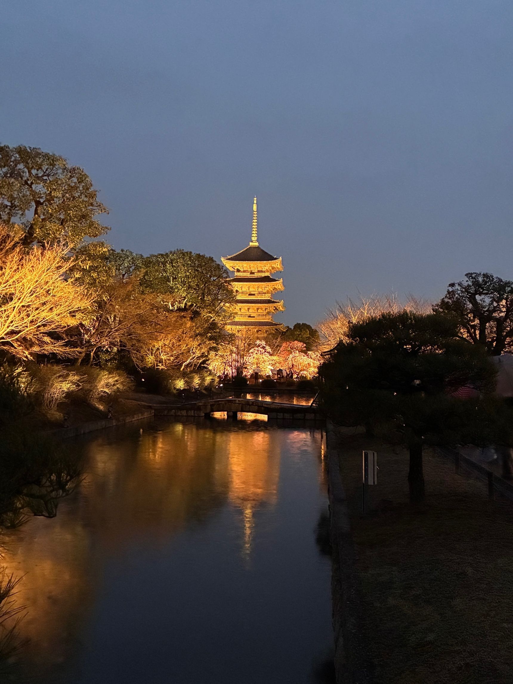 最初に出会う光