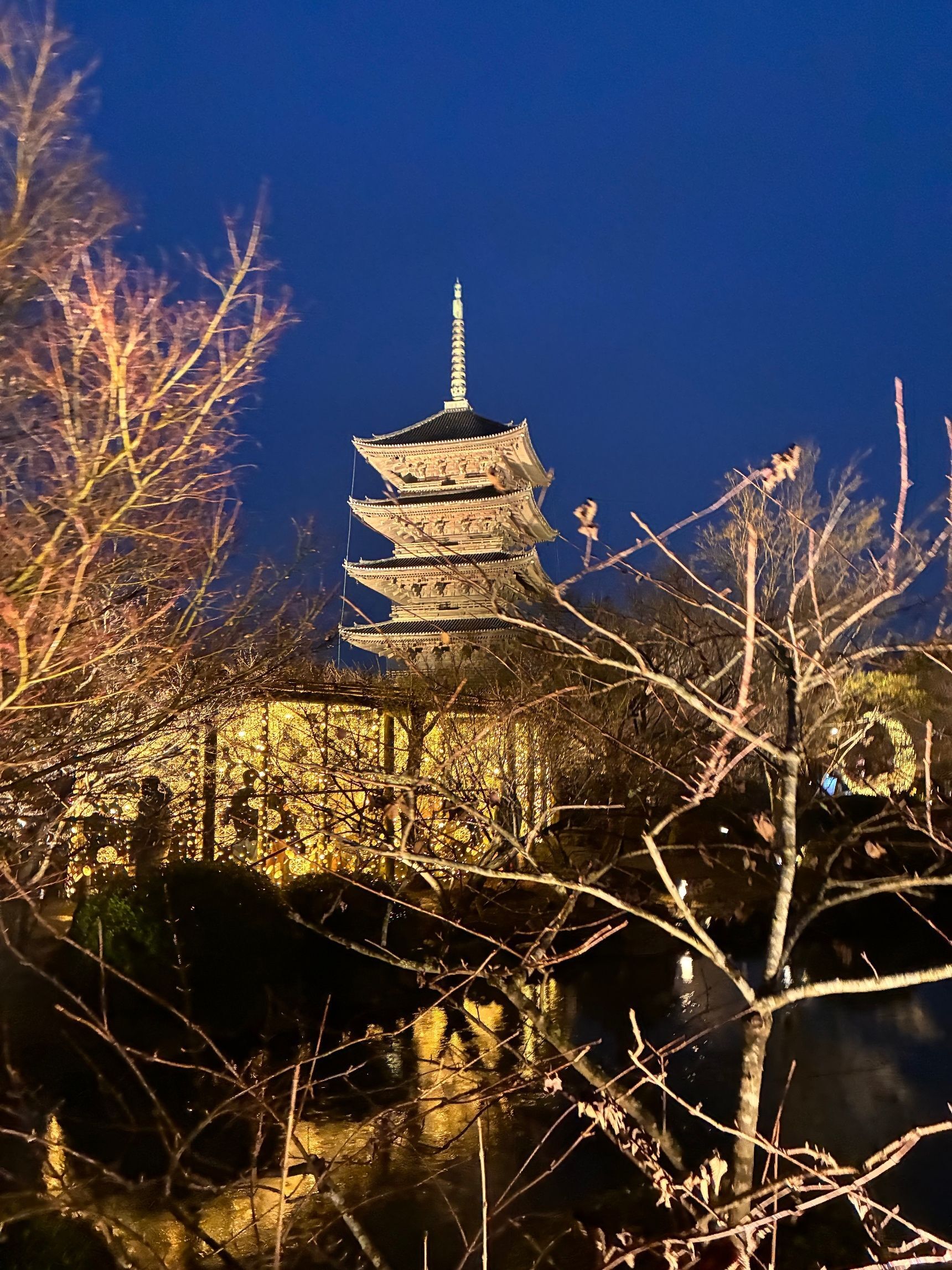 光の回廊見えました