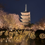 夜の空に浮かぶ、東寺イルミネーション