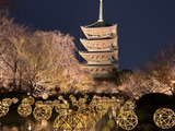 夜の空に浮かぶ、東寺イルミネーション