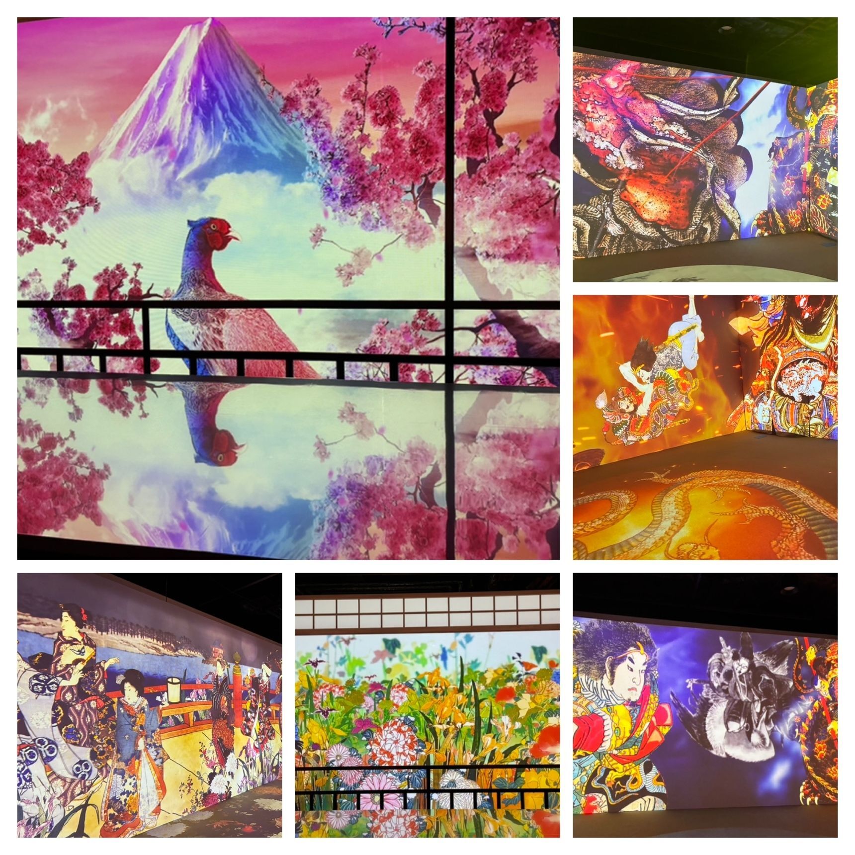 彩豊かな静と動