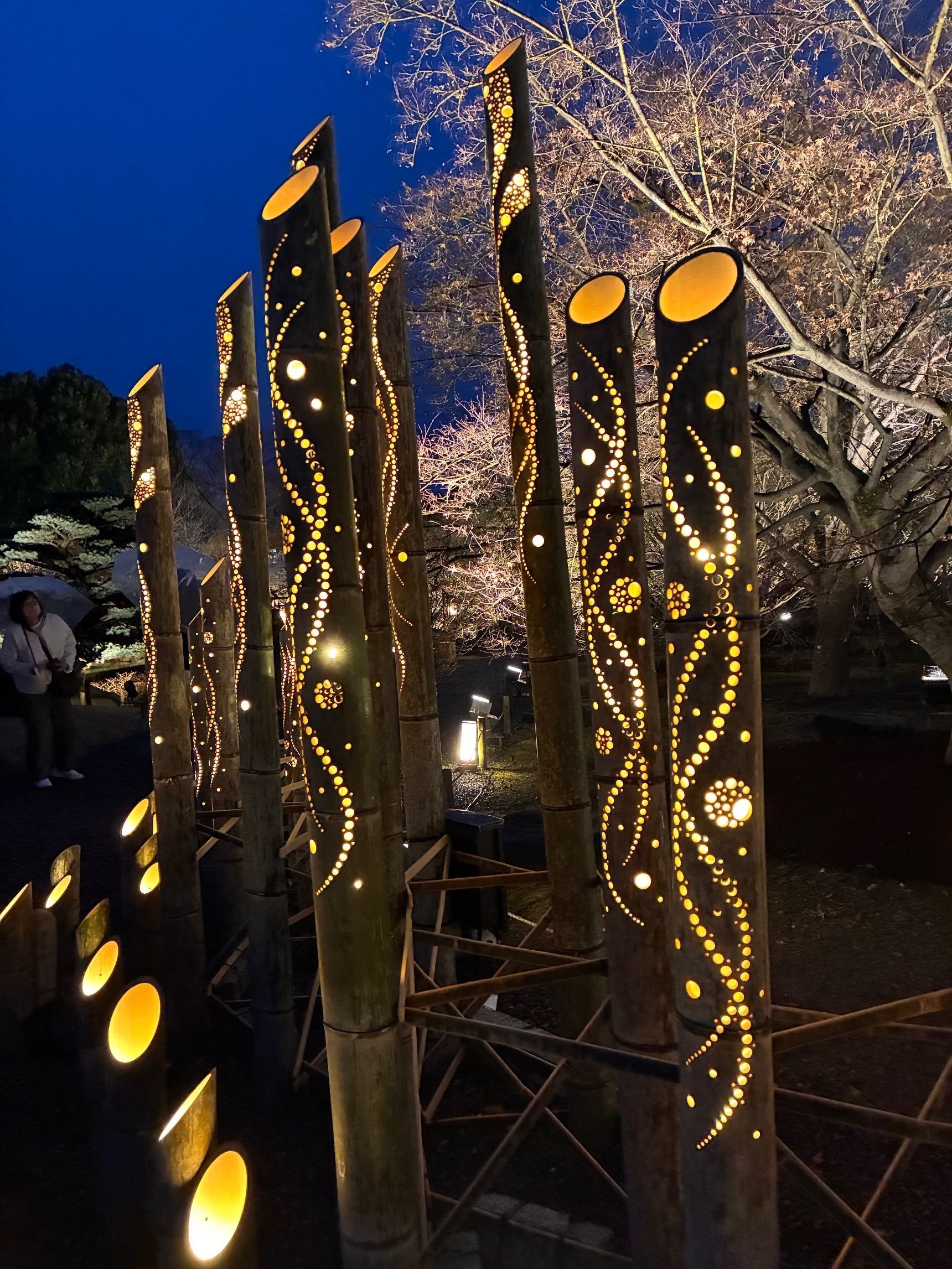 竹の灯りは幻想的で素敵