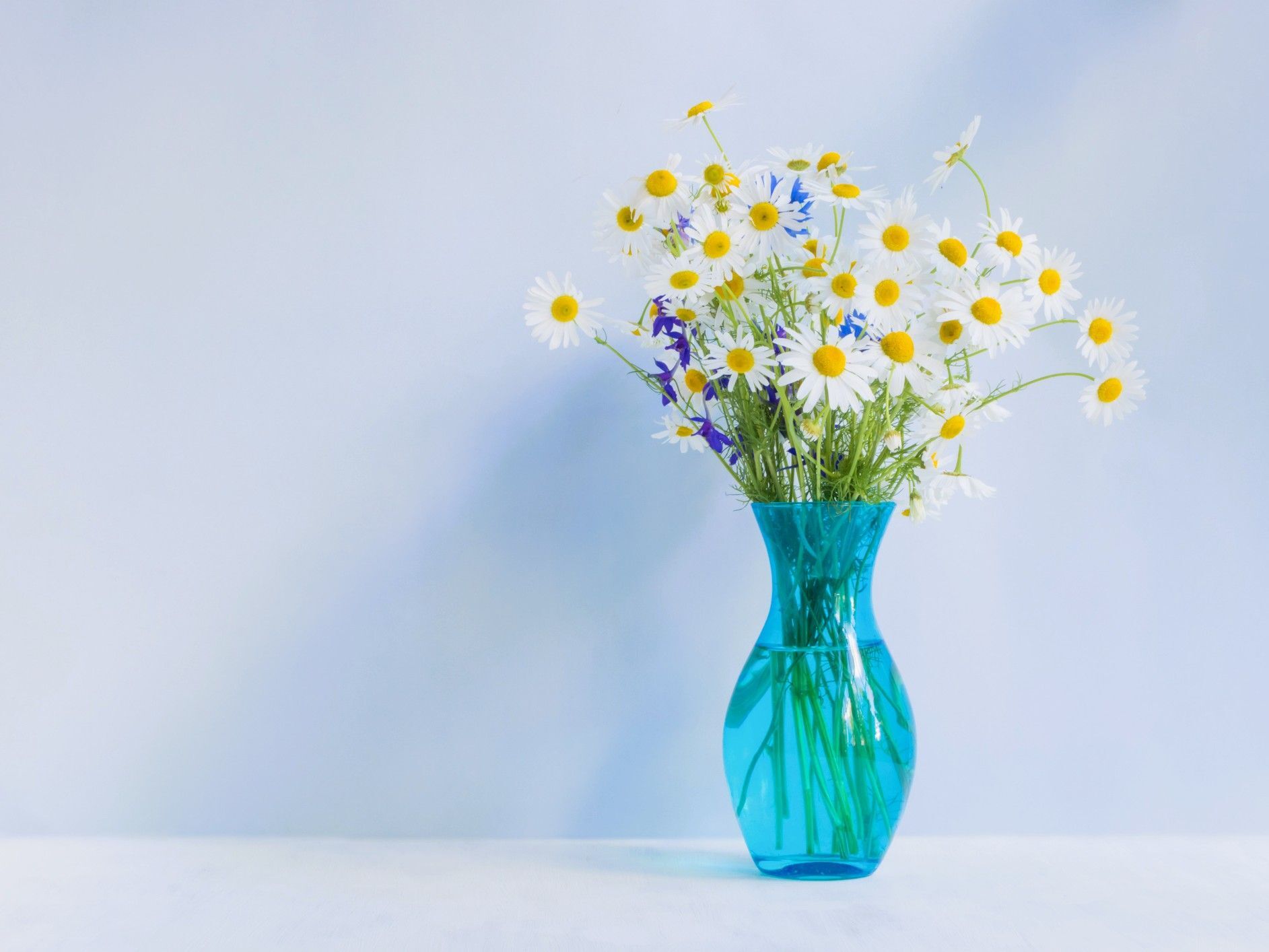 3月4日（水）今日は「たくさんの実り」にめぐまれる幸運日！使い始めるといいモノがありますよ♪