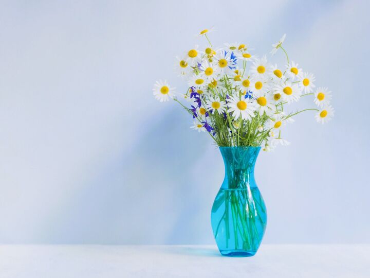 3月4日(水)今日は「たくさんの実り」にめぐまれる幸運日!使い始めるといいモノがありますよ♪