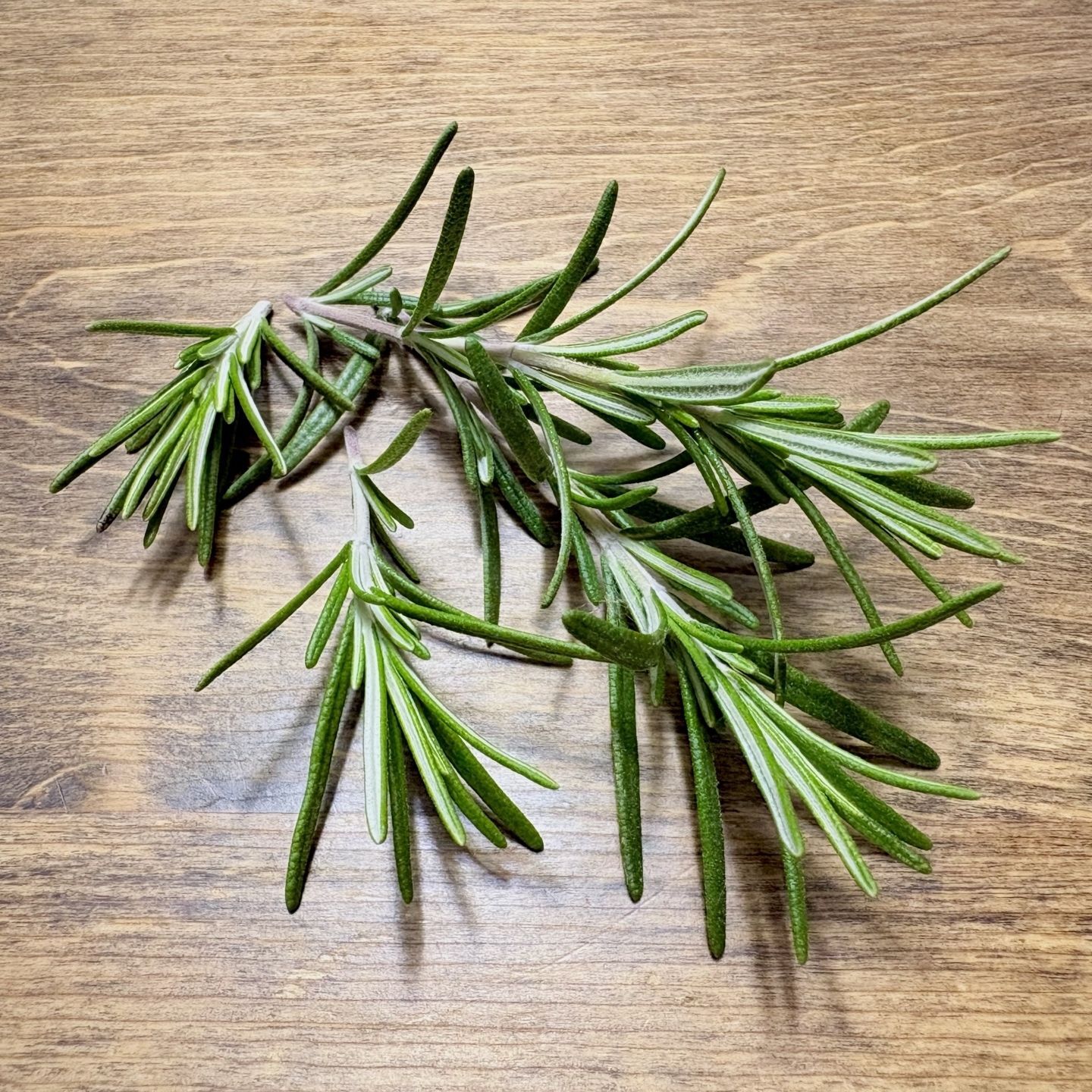 若々しさの秘訣は細胞にあり？！老化研究でわかった健康寿命を左右する細胞に関する最新知見