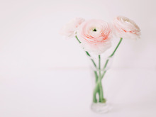 3月5日（木）今日は3月でいちばんの最強幸運日！絶対やったほうがいいことはコレ！