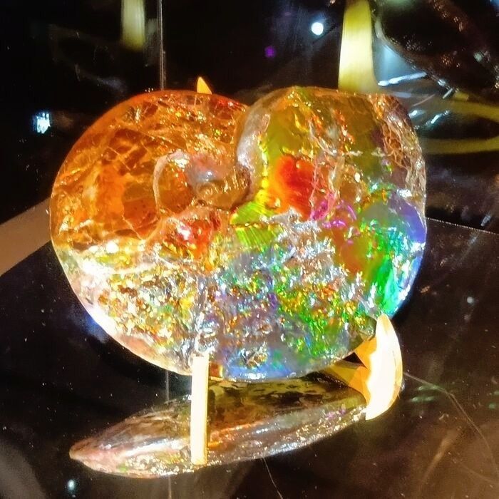 アフター万博で出会ったローズクォーツのアンモナイト！万博の記憶がよみがえる特別なお品！