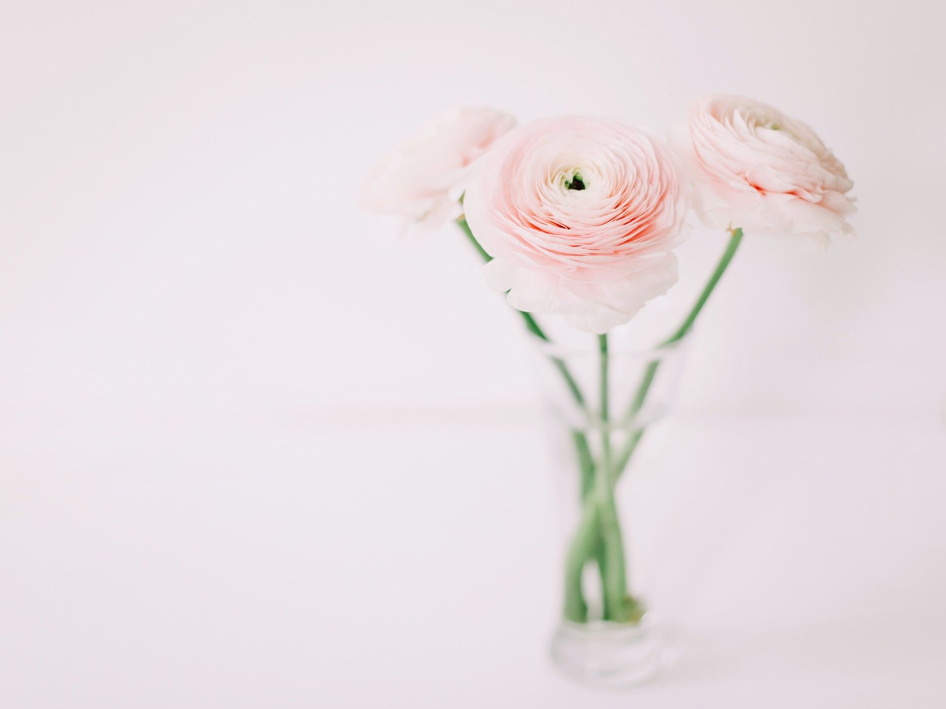 3月5日（木）今日は3月でいちばんの最強幸運日！絶対やったほうがいいことはコレ！