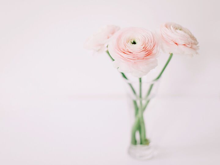 3月5日(木)今日は3月でいちばんの最強幸運日!絶対やったほうがいいことはコレ!