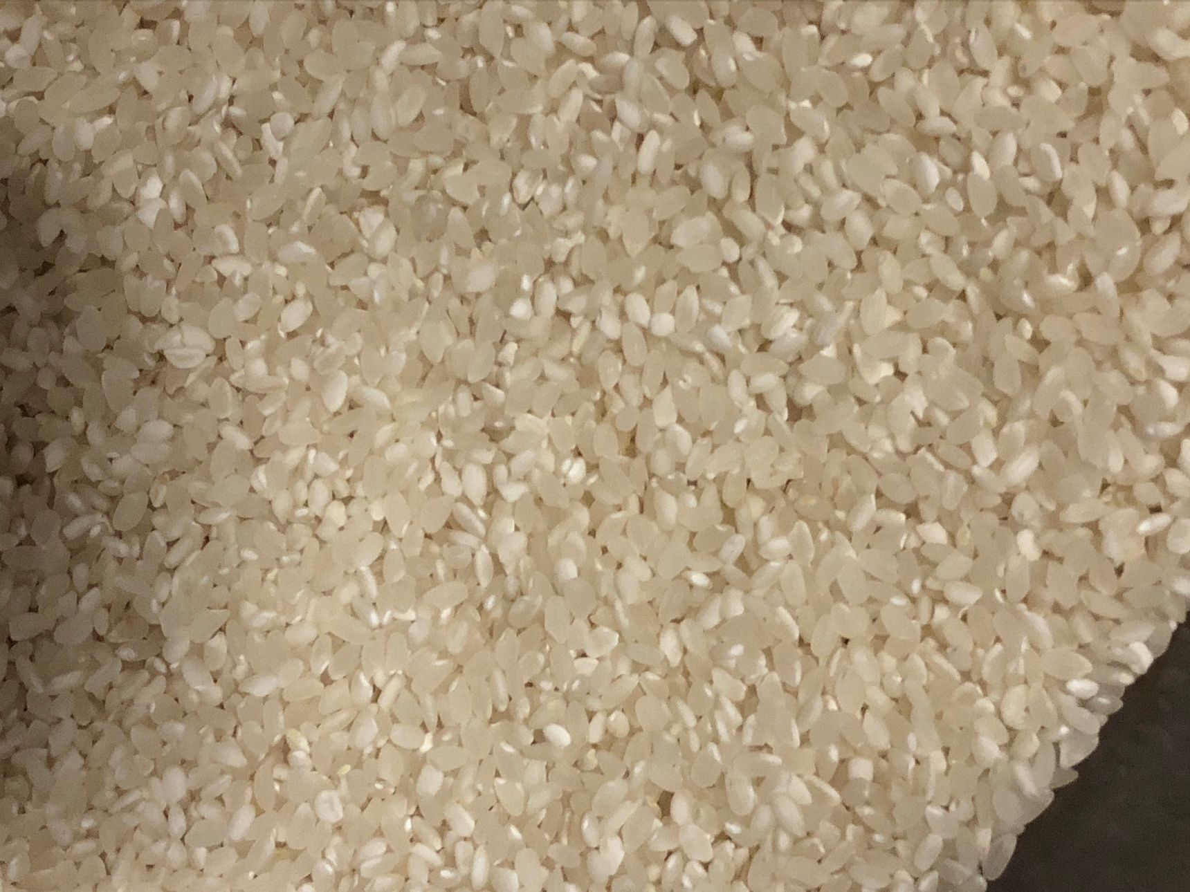 ぱっと見は何もないように見えます