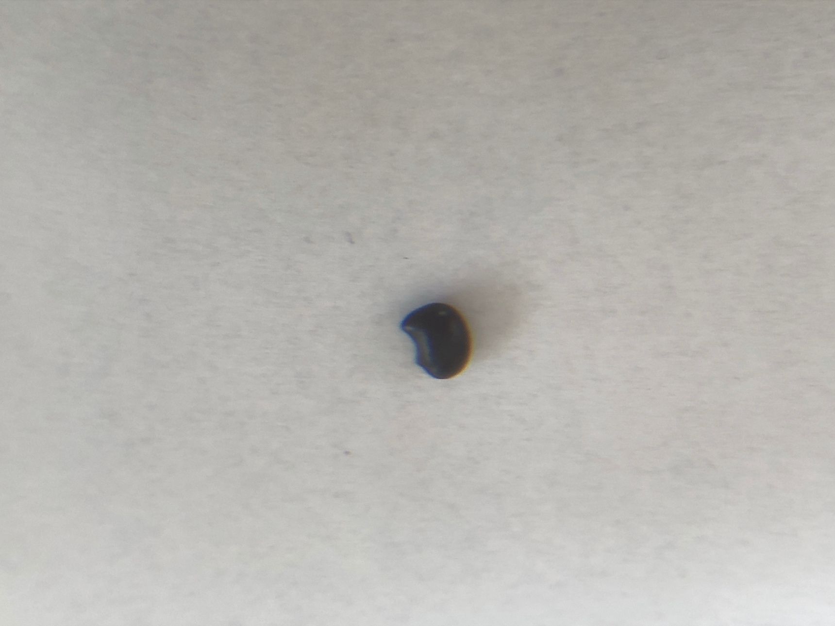 同じ商品を購入すれば、また入っている可能性が高い