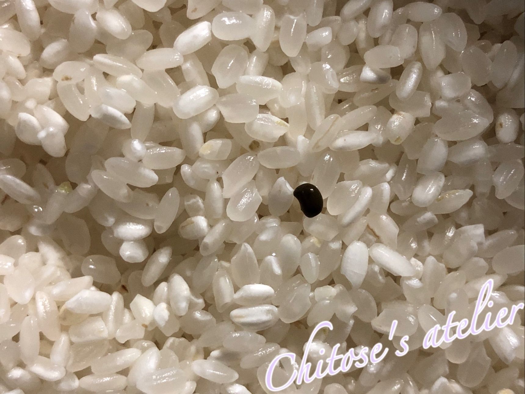 お米を買ったら中に黒い物体「こ、これは何！？」虫ではなさそうだけれど調べてみた
