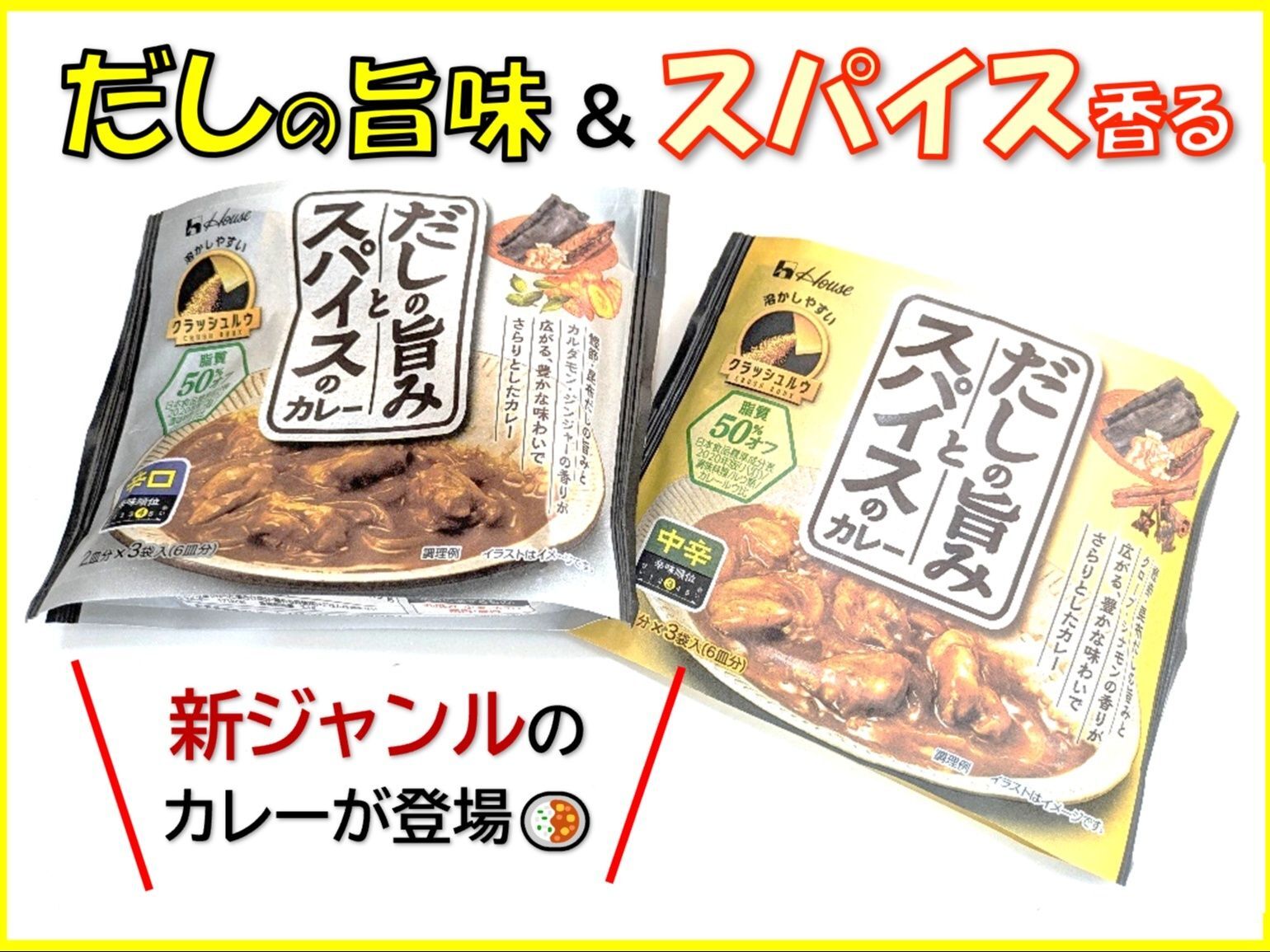だしの旨み＆スパイスの旨味を感じる新たなカレー参上！！