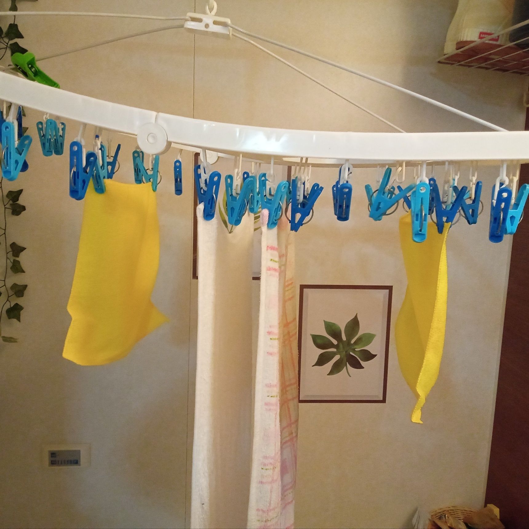 黄色の布巾を下着に見立てて、こんな感じで干すでしょ