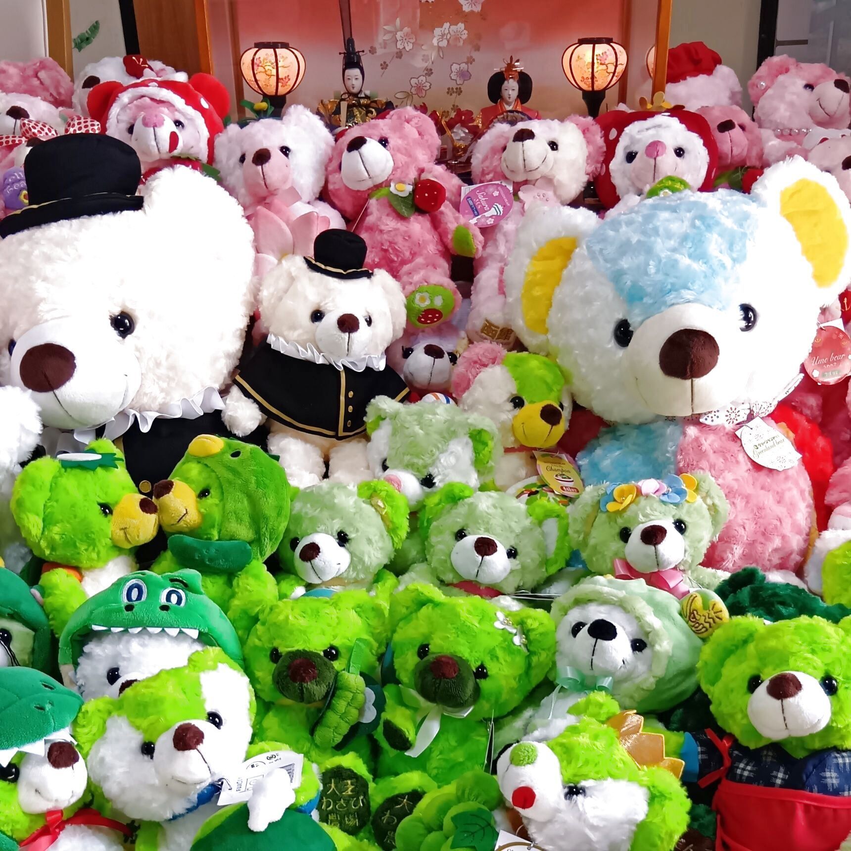 圧巻300体！撮影会の余韻そのままに…桃色ひなまつり第2幕が華やかに開幕！