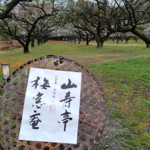 こちらでお食事