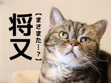 【将又】なんて読む？「まさまた」ではありません。意味は「あるいは。それとも」…ピンときた？【漢字クイズ】